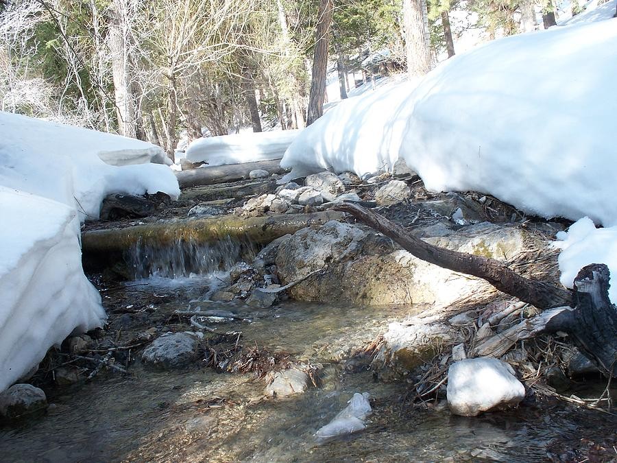 Unwind at Deer Creek Picnic Site