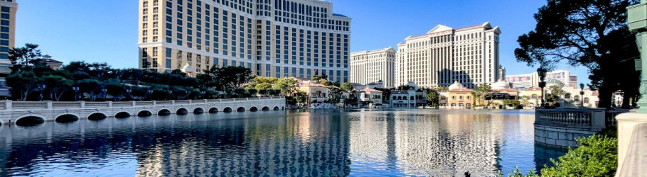 Claire Donovan cover image