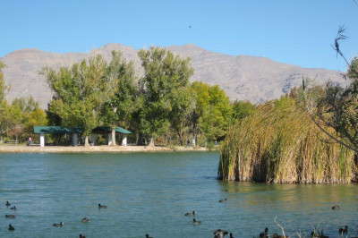 5 Fishing Locations in Las Vegas