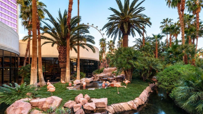 Five Ways To Relax In Las Vegas