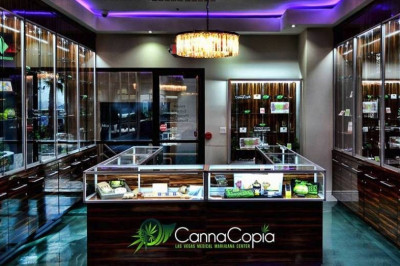 What to Do in Vegas When You’re Stoned