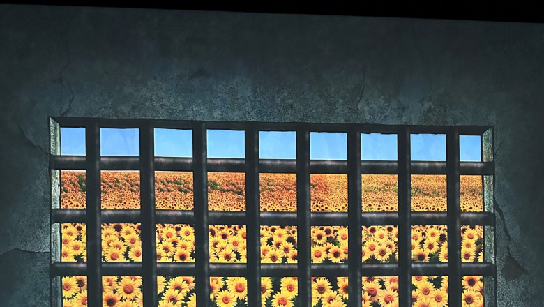 Las Vegas Mixtape v36: Van Gogh Immersion, Arts District Swagger, and Wallet-Friendly Eats