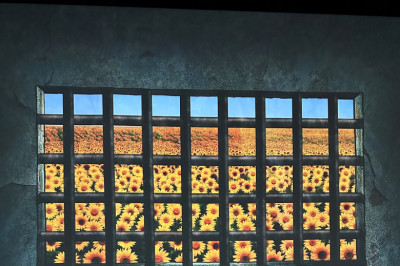 Las Vegas Mixtape v36: Van Gogh Immersion, Arts District Swagger, and Wallet-Friendly Eats