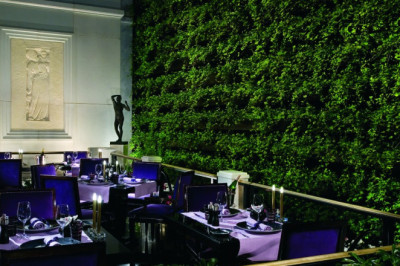 Black Truffle Extravaganza at Joël Robuchon